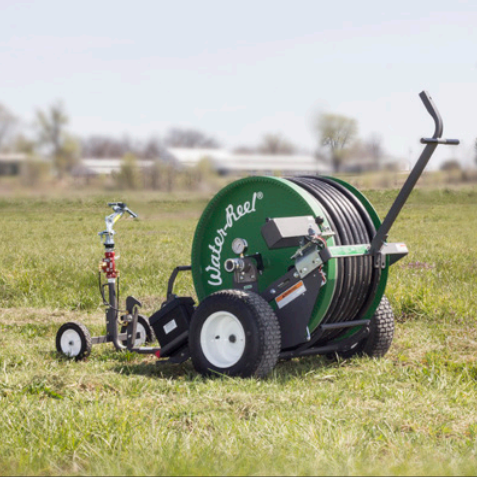 Online B series Reels