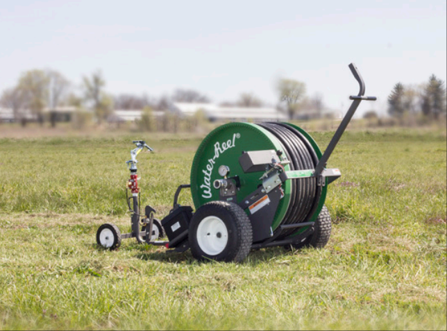 Online B series Reels